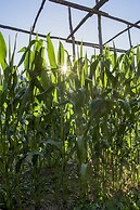 Villa Carolina Country House