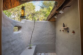 Safari Lodge - Amakhala Game Reserve