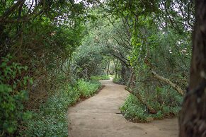 Safari Lodge - Amakhala Game Reserve