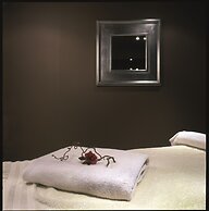 Antares & Spa Honfleur