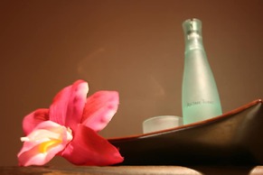 Antares & Spa Honfleur