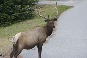 Enchanter Oceanview Suites