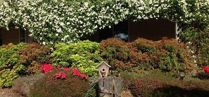 Enchanter Oceanview Suites