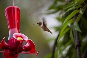 Enchanter Oceanview Suites