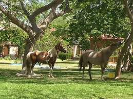 Hacienda San Francisco