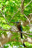 Hacienda San Francisco