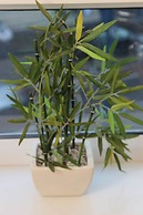 Tony Asga - Aisha.Sakina Apartments