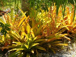 1 Island Hideaway in the Keys