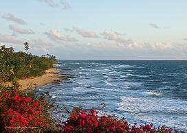 Wave Coast