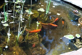 Alexandria House Bed & Breakfast