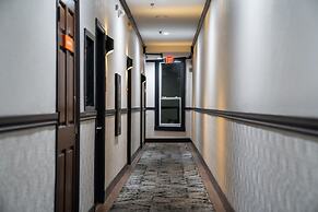 Amsterdam Hostel