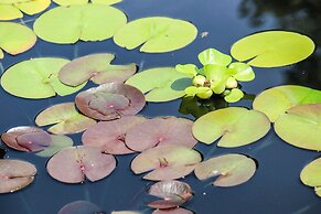 Albemarle Estate at Trump Winery