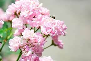 Albemarle Estate at Trump Winery