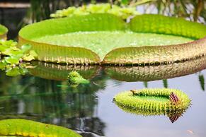 Albemarle Estate at Trump Winery