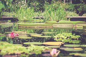 Albemarle Estate at Trump Winery