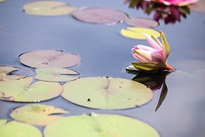 Albemarle Estate at Trump Winery