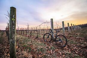 Albemarle Estate at Trump Winery