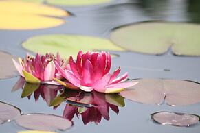 Albemarle Estate at Trump Winery