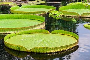 Albemarle Estate at Trump Winery