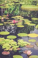 Albemarle Estate at Trump Winery