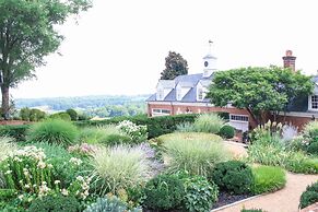 Albemarle Estate at Trump Winery