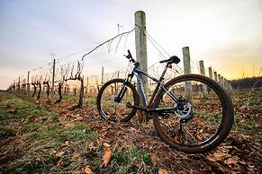 Albemarle Estate at Trump Winery