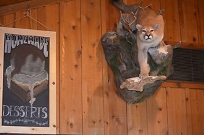 Mountain Village Lodge