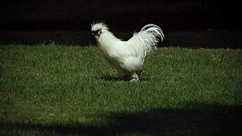 Hotel Boutique Casa de Campo