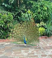 Hotel Boutique Casa de Campo