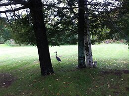 Algonquin Lakeside Inn