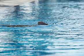 Vinpearl Resort & Spa Nha Trang Bay