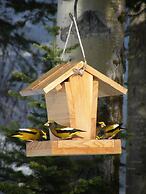 Silvern Lake Trail Bed & Breakfast