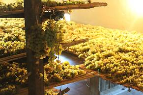 La Cantina Relais - Fattoria Il Cipresso