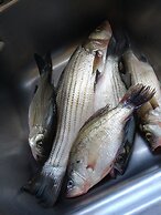 Grand View Plaza Inn & Suites