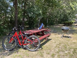 Viking Shores Motor Inn