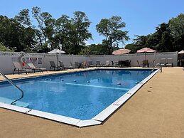 Viking Shores Motor Inn