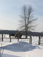 CastleView Inn by Elevate Rooms