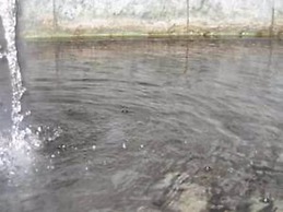 Yugawara Onsen Ryokan Greenso