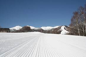 Alpine Inn Mizushiro