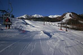 Alpine Inn Mizushiro