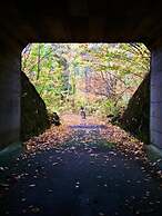 Alpine Inn Mizushiro