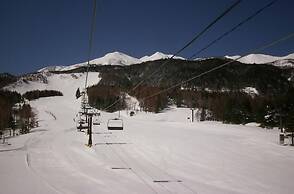 Alpine Inn Mizushiro