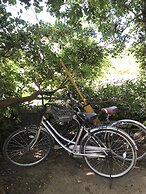 Taketomijima Guesthouse & Jetaime - Hostel