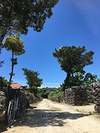 Taketomijima Guesthouse & Jetaime - Hostel