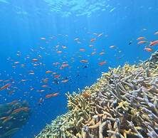 Eco Village Iriomote