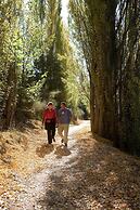 Alexandra Motor Lodge