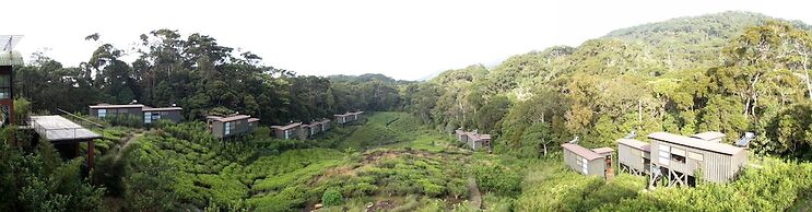 The Rainforest Ecolodge