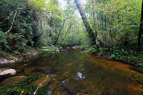 The Rainforest Ecolodge