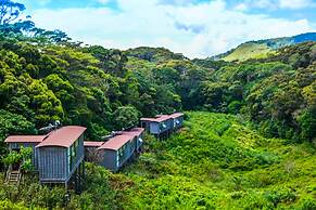 The Rainforest Ecolodge