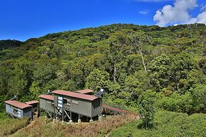 The Rainforest Ecolodge